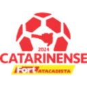 Логотип Catarinense - 2