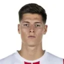 Sava-Arangel Čestić fotosu