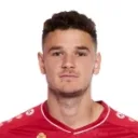 Louis Verstraete fotosu
