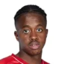 Thiemoko Diarra fotoğrafı