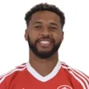 Wesley Ribeiro Silva fotosu