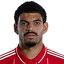 Morgan Anthony Gibbs-White photo