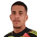 Gabriel Delfim Ferreira fotosu