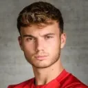 Dominik René Schwizer photo