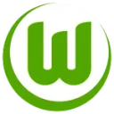 VfL Wolfsburg logosu