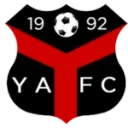 Ynyshir Albions logo