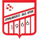 Логотип Ayvalikgucu