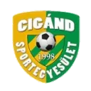 Логотип Cigand SE