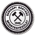 Sárisápi Bányász logosu