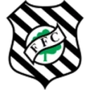 Figueirense logosu