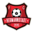 AFC Hermannstadt logo