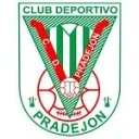 Логотип Pradejón