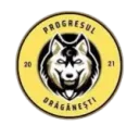 Progresul Draganesti logosu