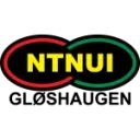 NTNUI logosu