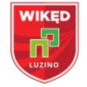 Luzino logo