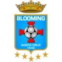 Blooming logo