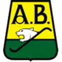 Bucaramanga logo