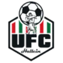 Логотип UFC Hallein