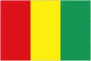 Guinea loqosu