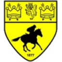 Newmarket logosu