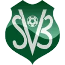 Suriname loqosu