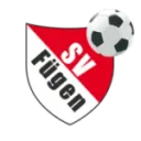 Fügen logo